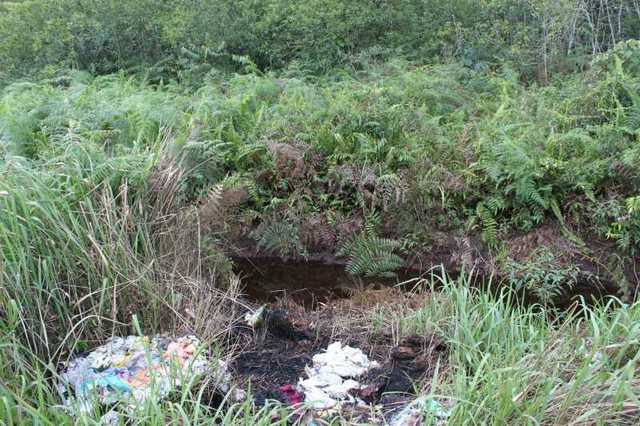 Rubbish at a previous habitat of P. tweediei(photo C.Hinz)