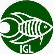 IGL